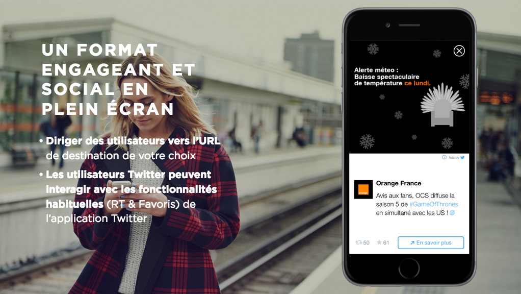 TwitterAudiencePlatform