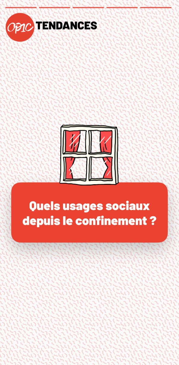 les usages sociaux depuis le confinement